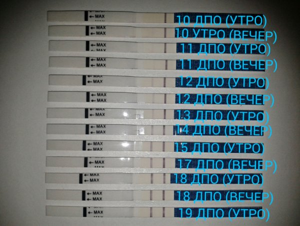 Тесты после подсадки