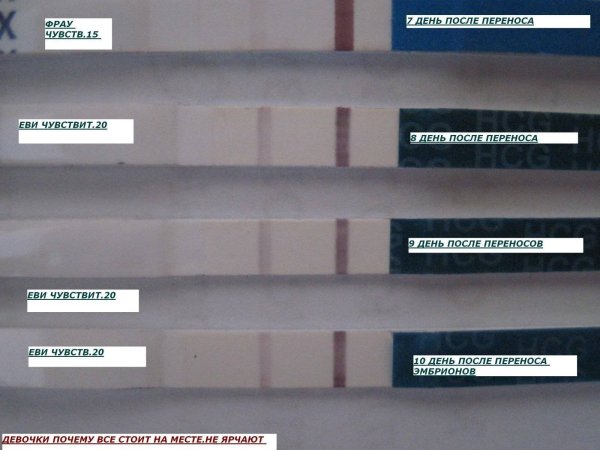 Пятый день после переноса эмбрионов пятидневок ощущения