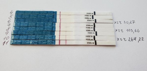 Тесты на 4 ДПП 5 дневок