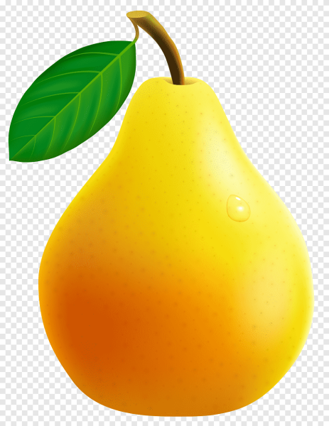 Груша картинка