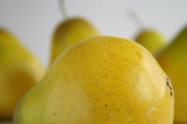 Желтая груша (Yellow pearshaped)