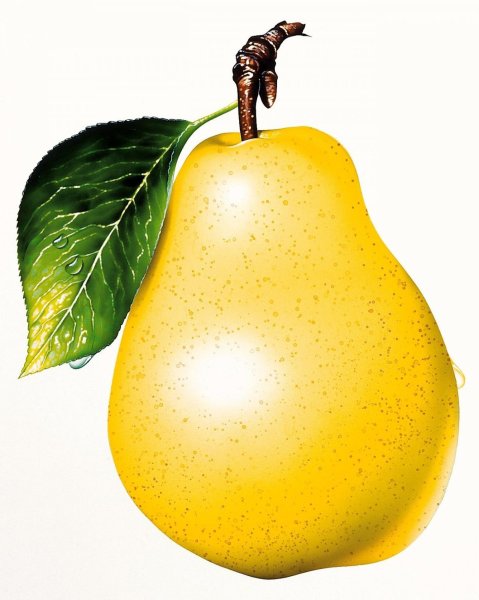 Pear (Пэар) - груша