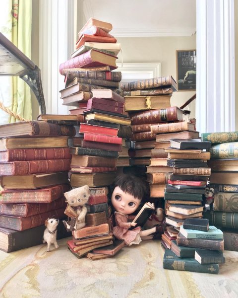 День книголюбов