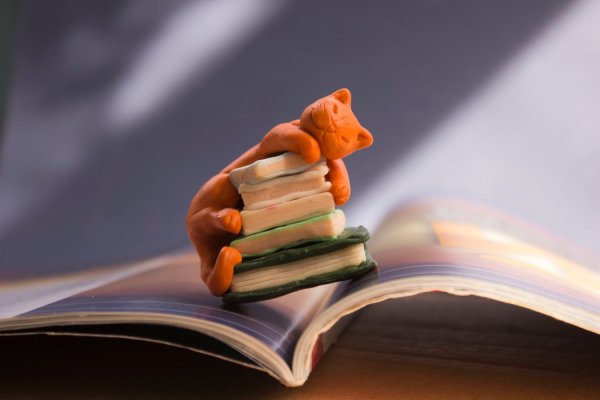 День книголюбов (book lovers Day)