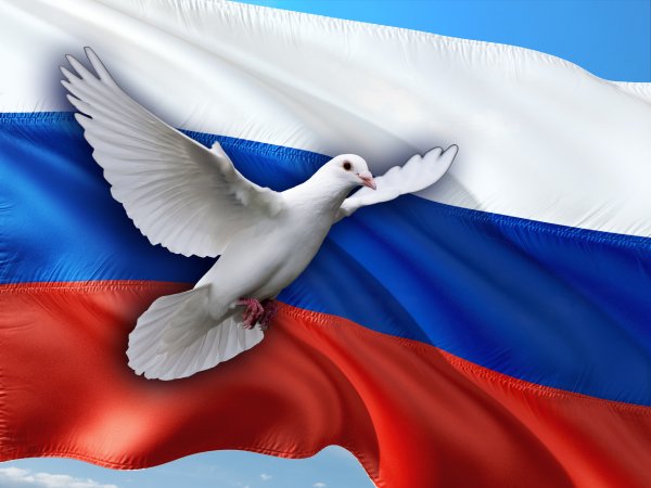 Голубь мира Россия