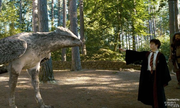 Гарри Поттер Клювокрыл