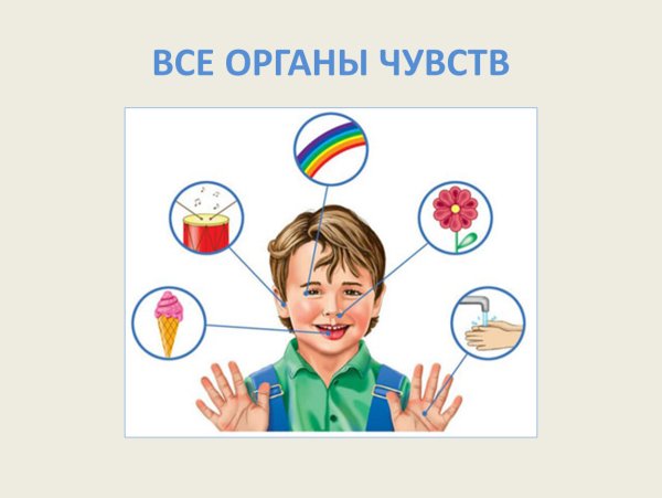 Как мы воспринимаем информацию