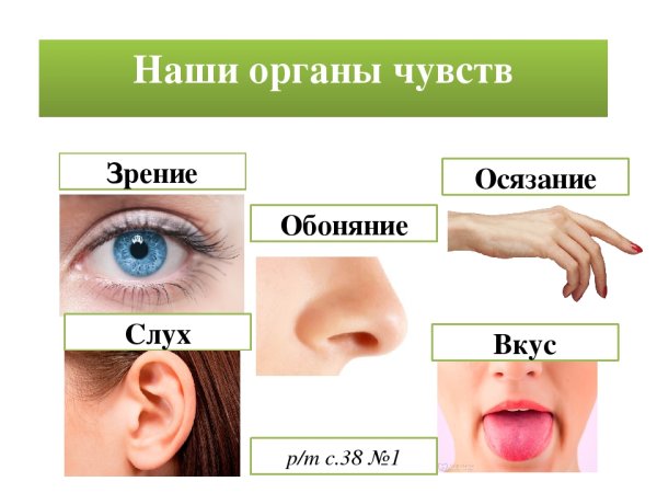 Способы восприятия информации