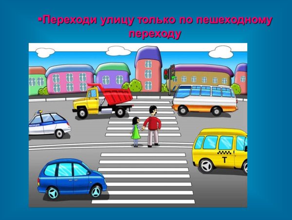 Безопасное поведение на дороге