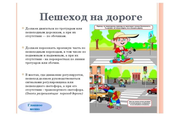 Правила поведения на дороге