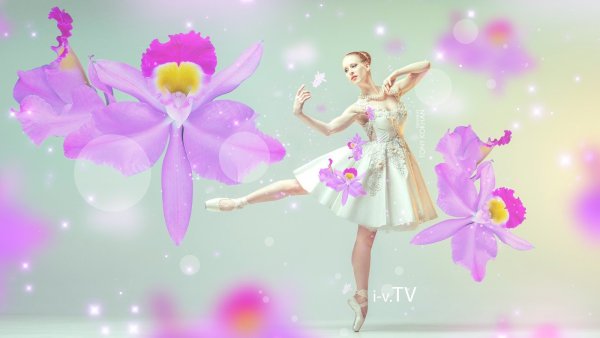 Вальс цветов