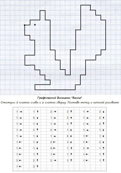Графический диктант белка для дошкольников