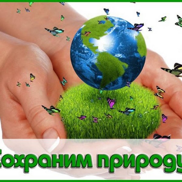 Спасем природу вместе