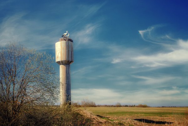 Водонапорная башня Горшеченский район