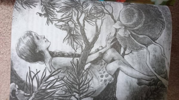 Асино лето Тамара Михеева иллюстрации