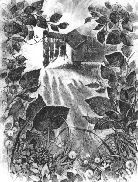 Асино лето Тамара Михеева иллюстрации