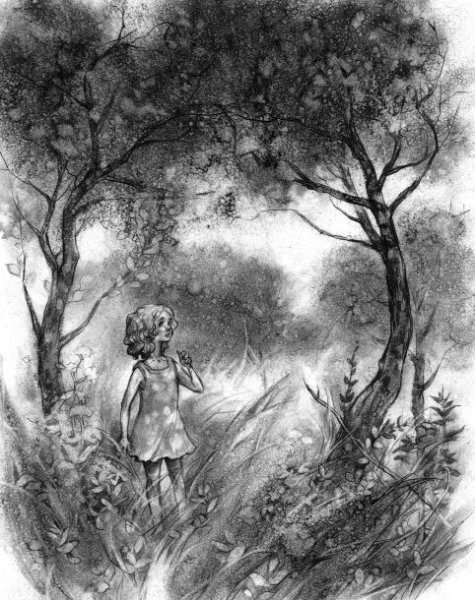 Асино лето Тамара Михеева иллюстрации