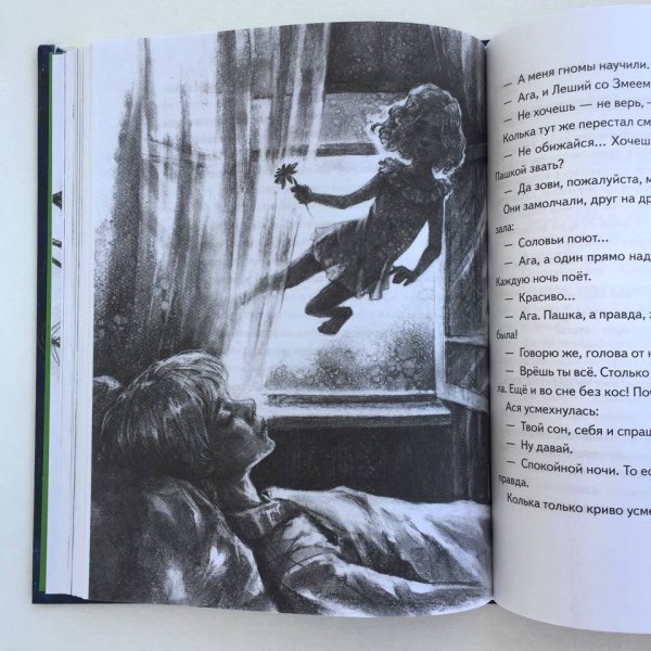 Иллюстрации к книге Тамары Михеевой Асино лето картинки