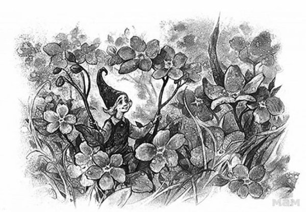 Тамара Витальевна Михеева Асино лето