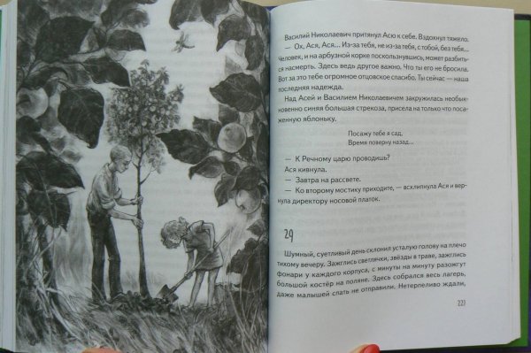 Асино лето Тамара Михеева книга продолжение