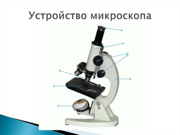 Микроскоп Микромед строение