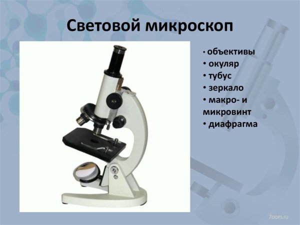 Строение микроскопа винты