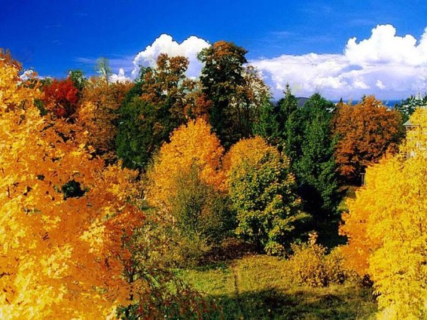 Осень очень хороша хороша хороша