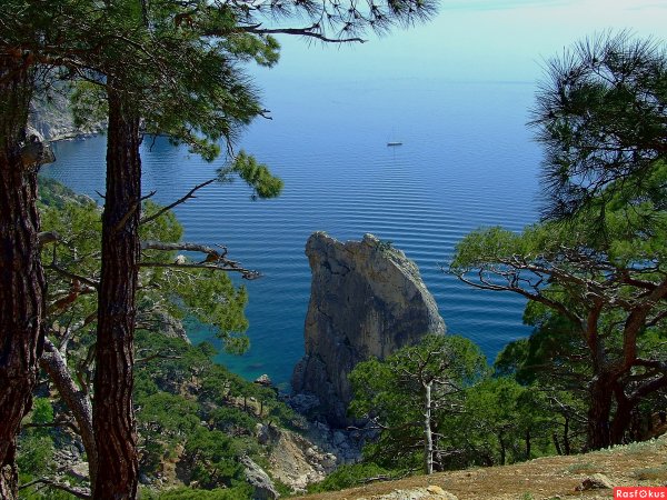 Мыс Айя сосны