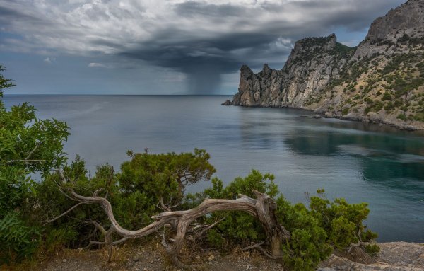 Новый свет Крым скалы