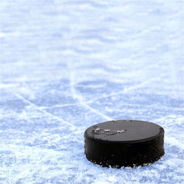 Ice Hockey Puck
