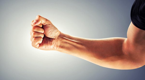 Рука согнутая в кулак