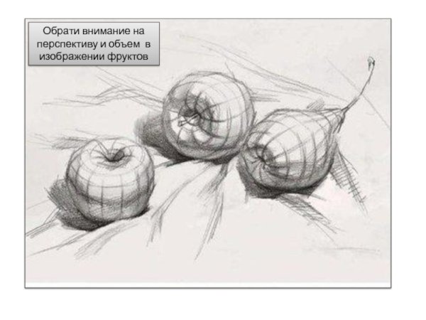 Конструктивное построение