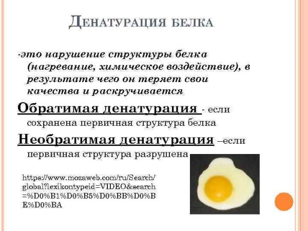 Денатурация и ренатурация белков схема
