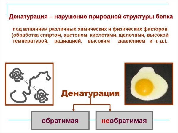 Денатурация белка химическая реакция