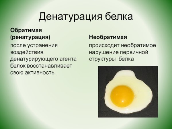 Денатурация сывороточных белков