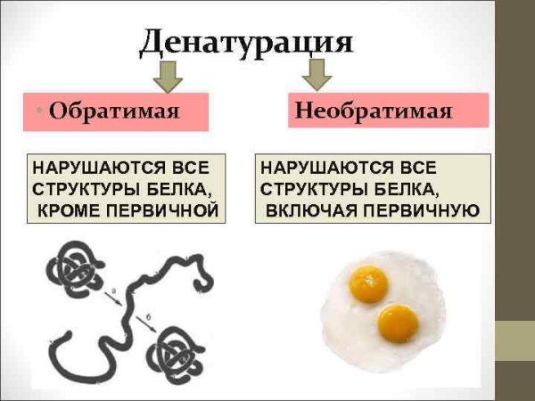 Денатурация белка