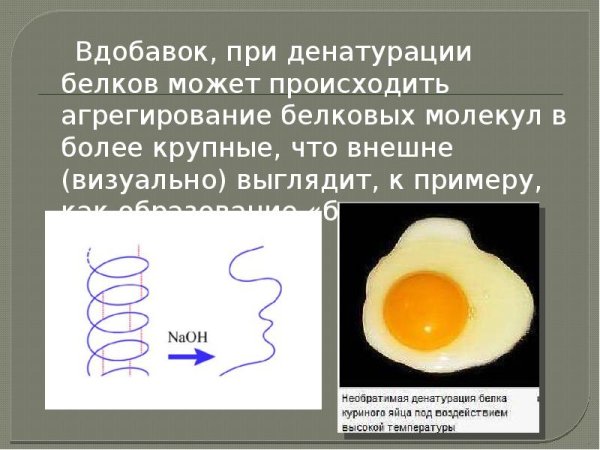 Белок денатурация