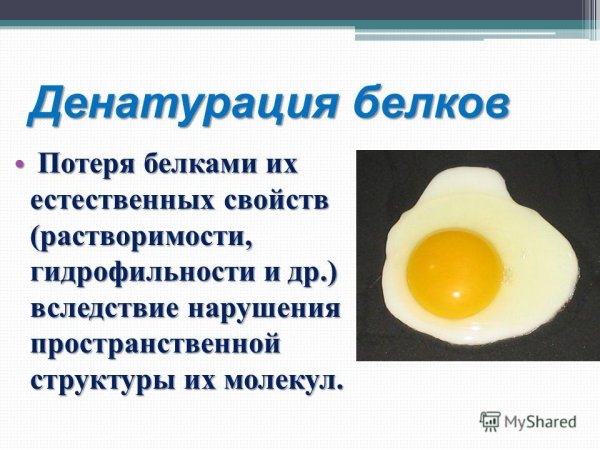 Тепловая денатурация белка реакция