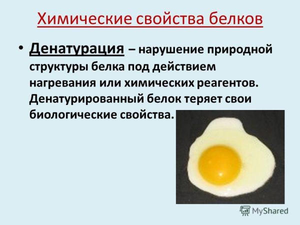 Денатурация белков схема