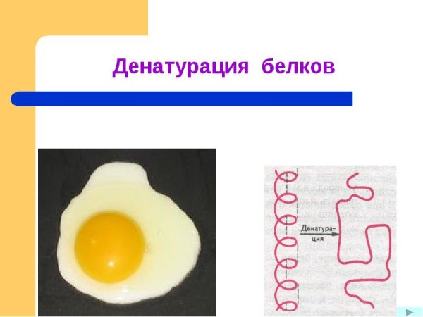 Тепловая денатурация белка формулы