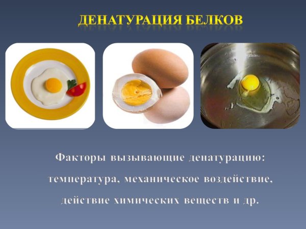 Механизм денатурации белка