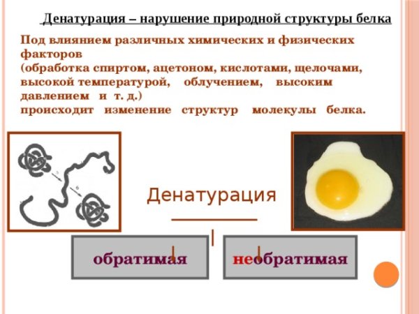 Денатурация белков
