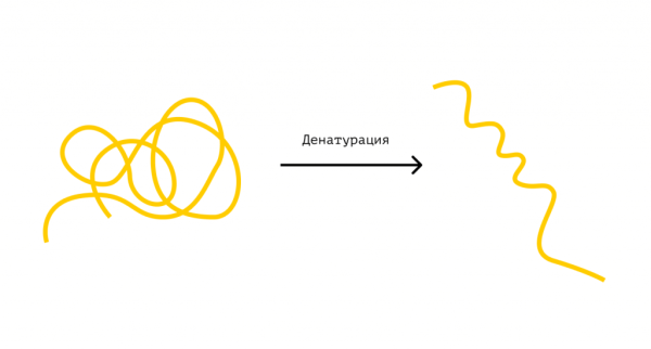 Денатурация белка структуры