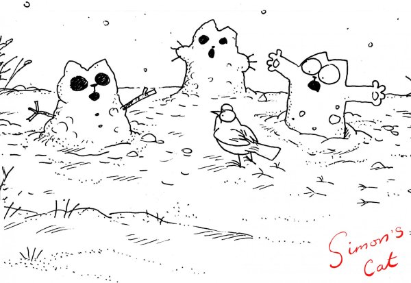 Кот Саймон обои