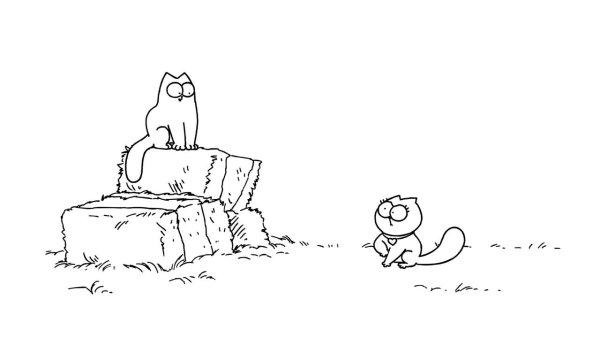 Кот Саймона Саймон