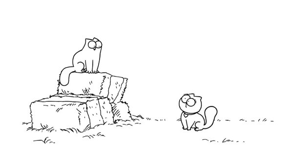 Кот Саймон