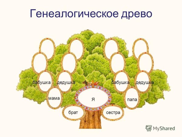 Составление генеалогического дерева