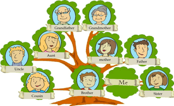 My Family генеалогическое Древо