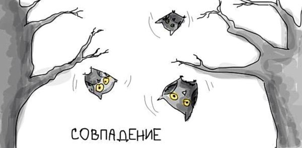 Совпадение Совы