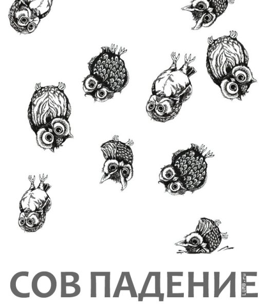 Совпадение Совы